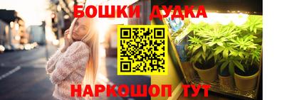 индика Заволжье