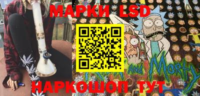 индика Заволжье