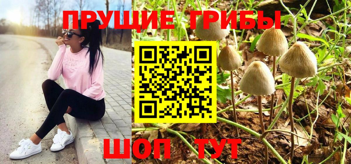 Лабытнанги  Псилоцибиновые грибы мухоморы  Вход с VPN 